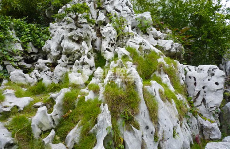 重庆假山设计制作厂家